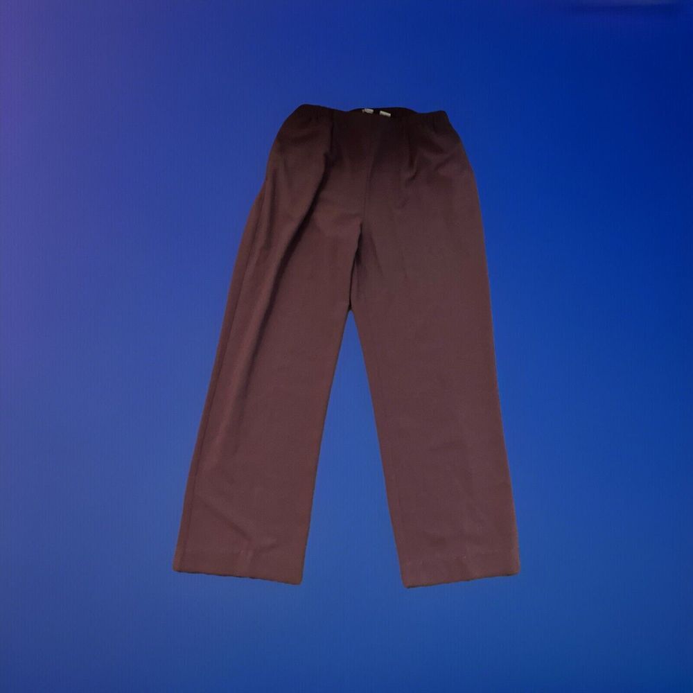 Drapers And Damons Size L Stretchy Pants